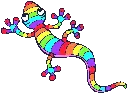 Rainbow Gecko