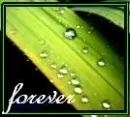 Droplets