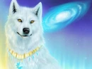 dimond wolf