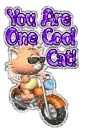 Cool cat