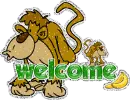 Welcome Monkeys