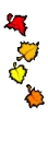 leaves