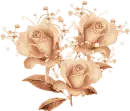 Rose Trio