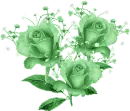 Rose Trio