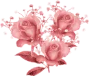 Rose Trio