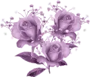 Rose Trio