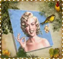 birds and marilyn