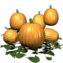PUMPKINS