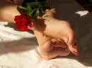 rose