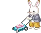 Daddy Rabbit