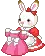 cute bunny