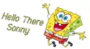 Hello there Sonny