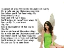 fly to your heart