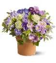 Flowers.