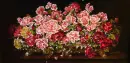 Roses.