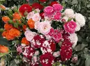 Flowers.