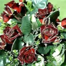 Roses.