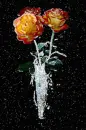 Flowers.