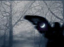 Dark