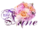 frine