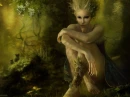 Wood Nymph