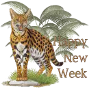 Happy new week