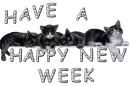 Happy new cat week