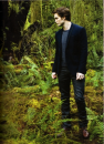 Robert Pattinson