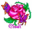 Cindi