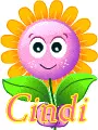 Pink Smiley Face Daisy - Cindi