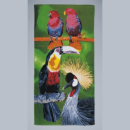 Parrots