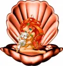 Shell with figure