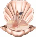 Shell with figure
