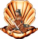 Shell with figure