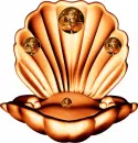 Shell with figure