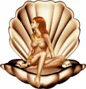 Shell with figure