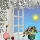window