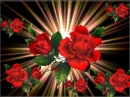 RED ROSES