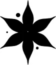 Black Poinsettia