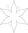 Poinsettia 