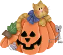 CAT AND MICE ON A PUMPKIN