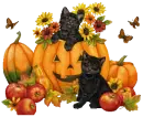 CATS WITH PUMPKINS