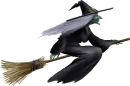 WITCH ON A BROOM