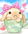 cute bunny