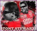 tony stewart