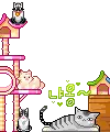 cute cat