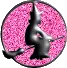 pink witch