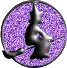 purple witch