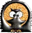 orange owl