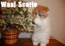 Scared